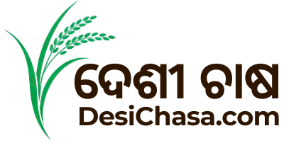 Desi Chasa Logo